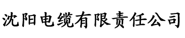 夜夜情电缆厂logo